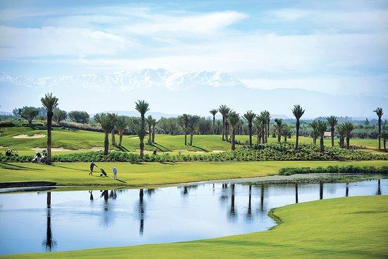 Royal Palm Golf and Country Club