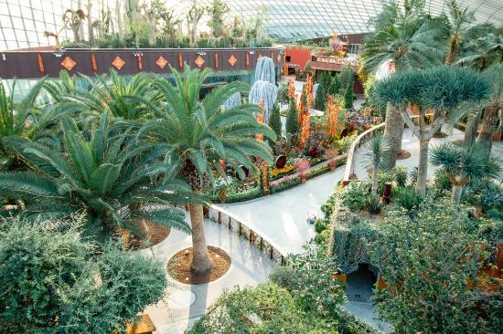 Jardines de la Bahía